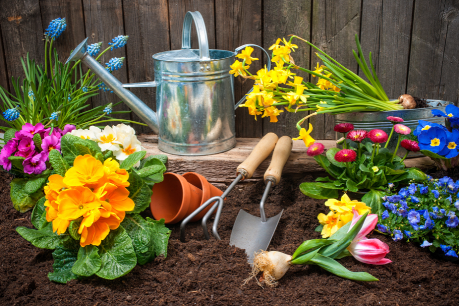 Poll asking Do you enjoy gardening in the spring?
