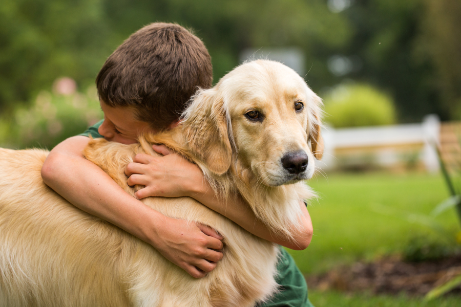 Poll asking Do you believe pets can sense human emotions?” width=